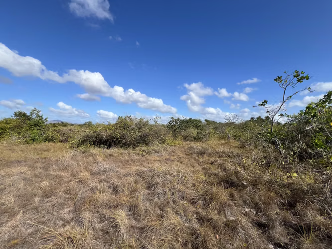 Venta de Terreno en Penonomé