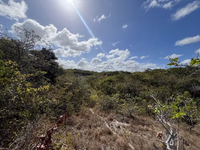 Venta de Terreno en Penonomé