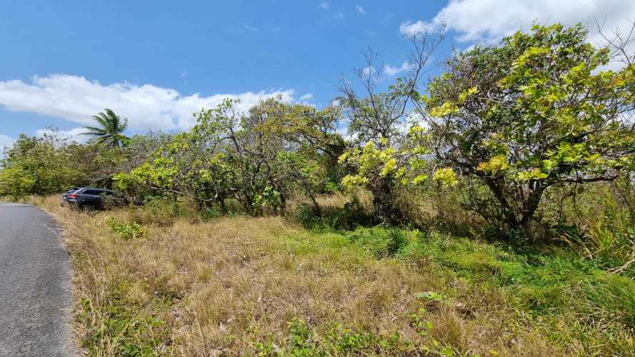 LOTES   SIN  INICIAL  EN ANTÓN   SECTOR JUAN DIAZ