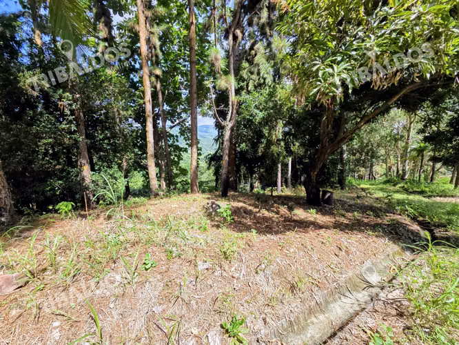 VENTA DE TERRENO EN SORA BEJUCO - Imagen 15