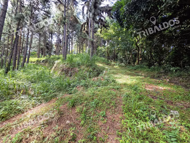 VENTA DE TERRENO EN SORA BEJUCO - Imagen 20