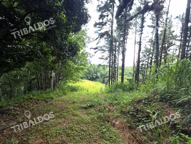 VENTA DE TERRENO EN SORA BEJUCO - Imagen 10