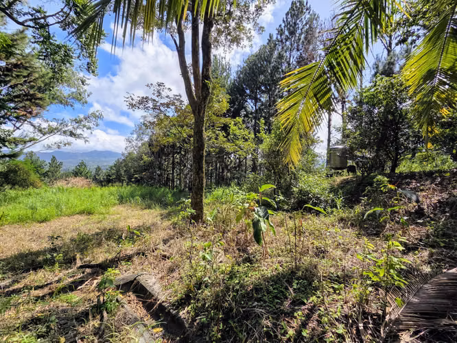 VENTA DE TERRENO EN SORA BEJUCO