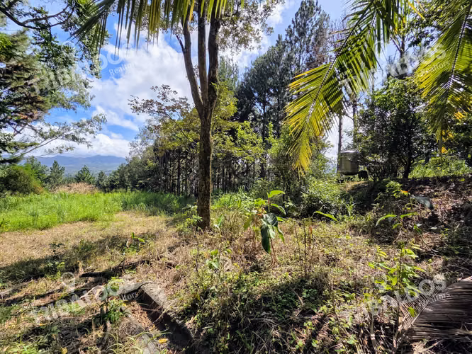 VENTA DE TERRENO EN SORA BEJUCO - Imagen 3