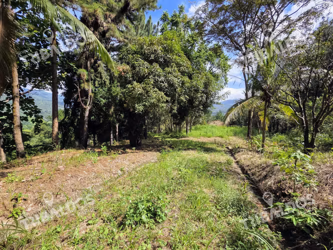 VENTA DE TERRENO EN SORA BEJUCO - Imagen 2
