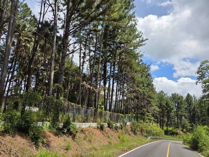 VENTA DE TERRENO EN SORA BEJUCO