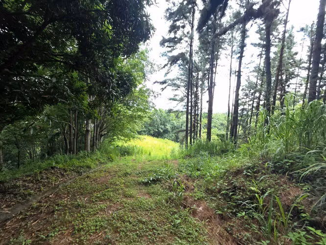 VENTA DE TERRENO EN SORA BEJUCO