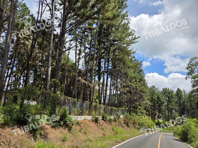 VENTA DE TERRENO EN SORA BEJUCO - Imagen 4