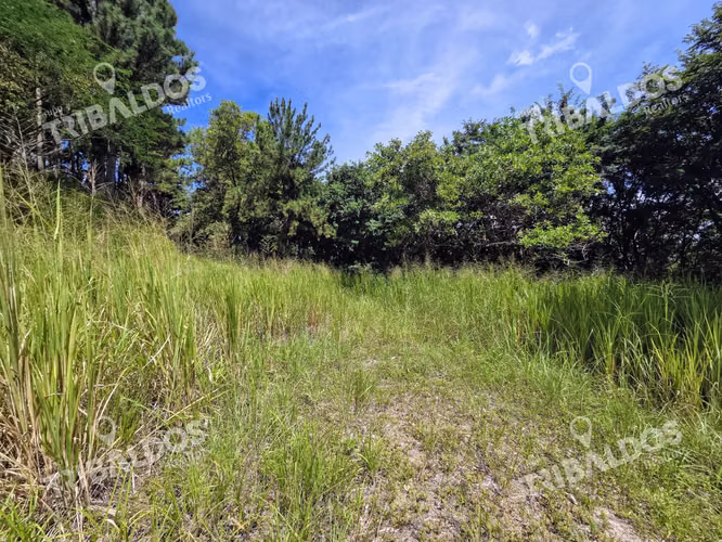 VENTA DE TERRENO EN SORA BEJUCO - Imagen 19