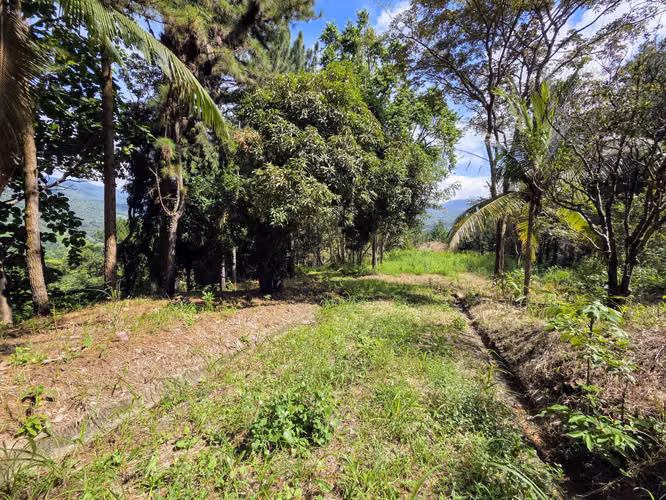 VENTA DE TERRENO EN SORA BEJUCO