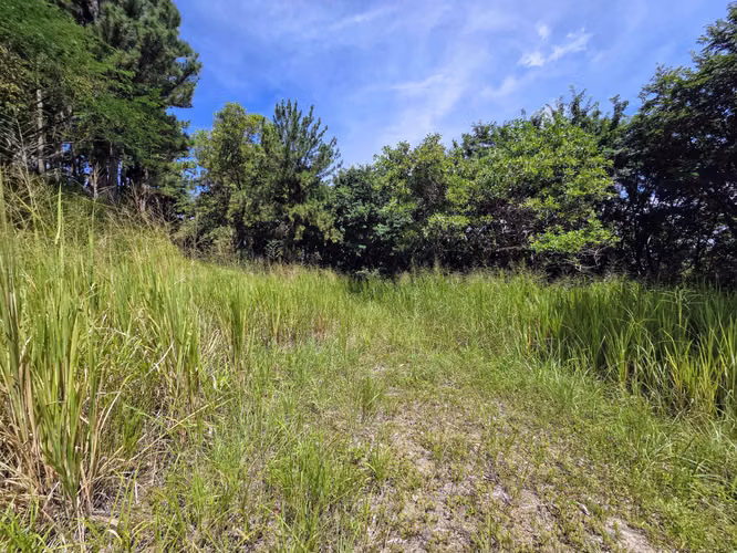 VENTA DE TERRENO EN SORA BEJUCO