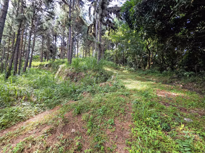 VENTA DE TERRENO EN SORA BEJUCO