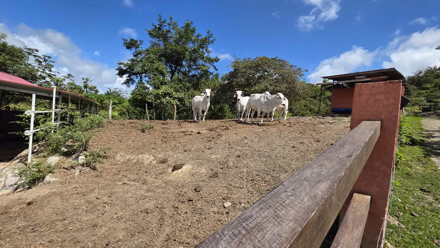 Preciosa Finca en Coclé, La Pintada