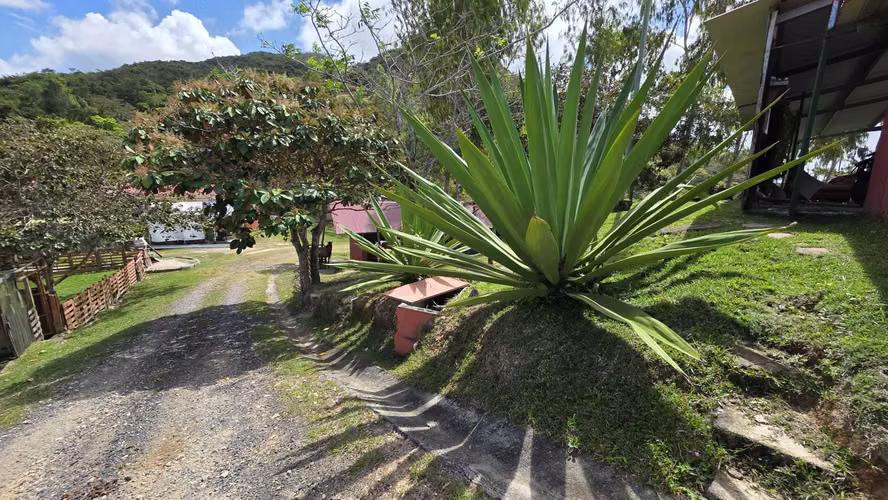 Preciosa Finca en Coclé, La Pintada