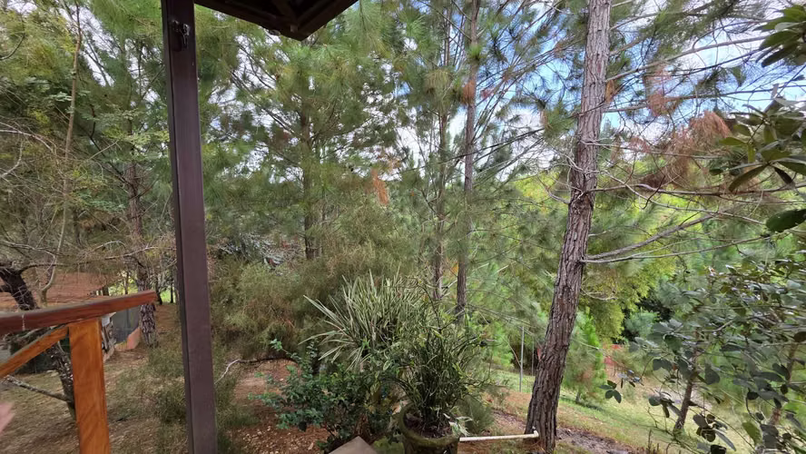 Preciosa Finca en Coclé, La Pintada