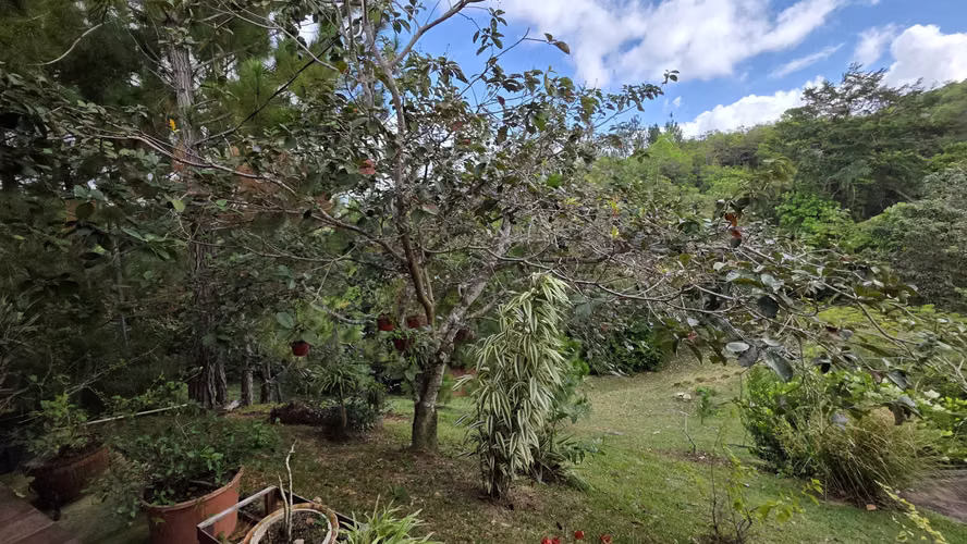 Preciosa Finca en Coclé, La Pintada