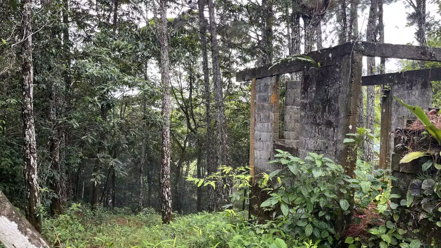 Se vende Terreno - Lote de 1594 mts en Altos de Cerro  Azul - Imagen 7