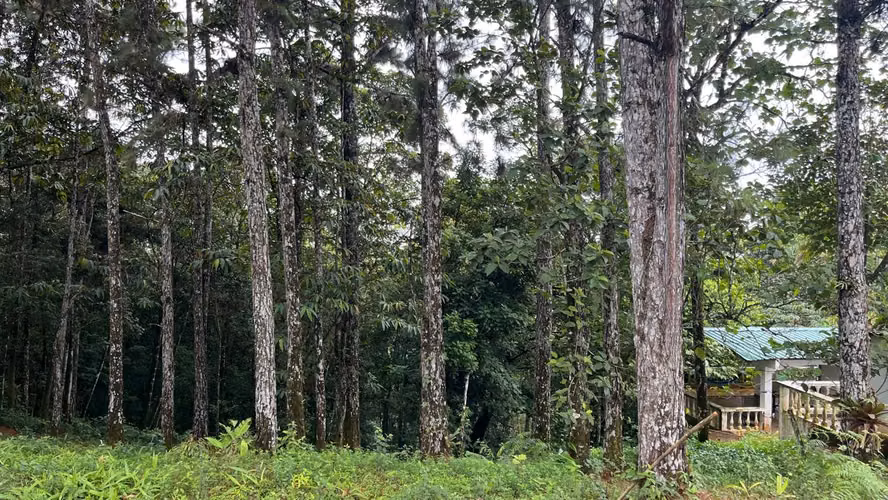 Se vende Terreno - Lote de 1594 mts en Altos de Cerro  Azul