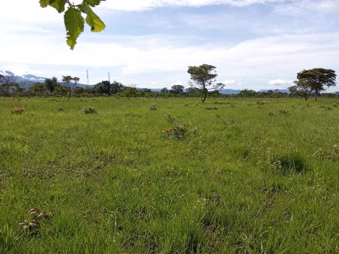Finca productiva  de 15 hectáreas en Chiriquí