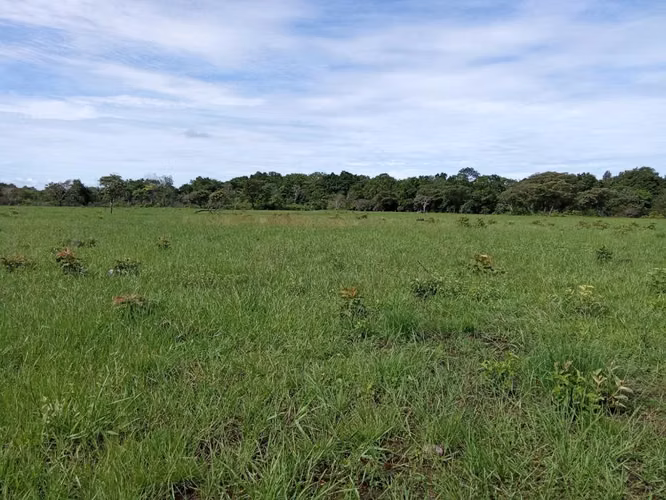 Finca productiva  de 15 hectáreas en Chiriquí