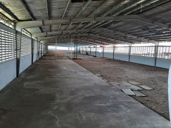 Venta Galera Rio Abajo 2 Niveles Superficie 1664 m2