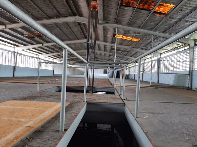Venta Galera Rio Abajo 2 Niveles Superficie 1664 m2