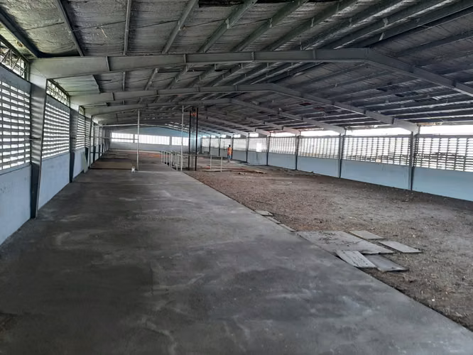 Venta Galera Rio Abajo 2 Niveles Superficie 1664 m2