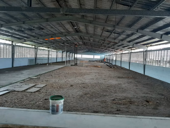 Venta Galera Rio Abajo 2 Niveles Superficie 1664 m2