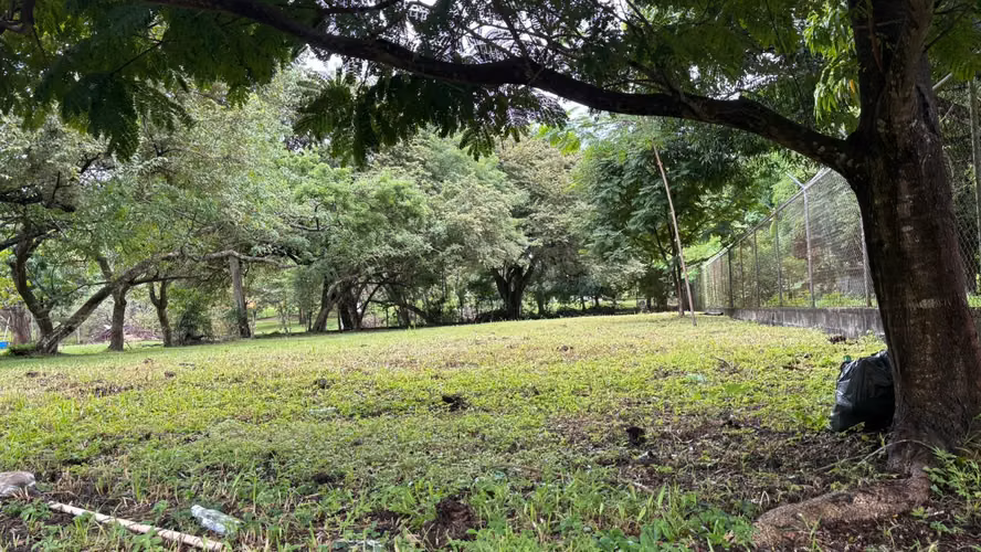 Vendo terreno en Gorgona a pocos pasos de la playa - Imagen 3