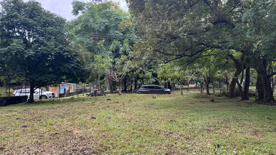 Vendo terreno en Gorgona a pocos pasos de la playa - Imagen 4