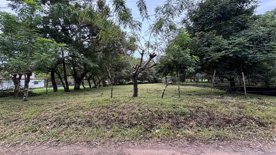 I sell land in Gorgona a few steps from the beach