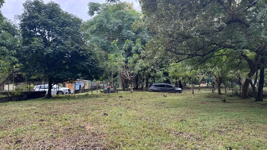 Vendo terreno en Gorgona a pocos pasos de la playa - Imagen 5