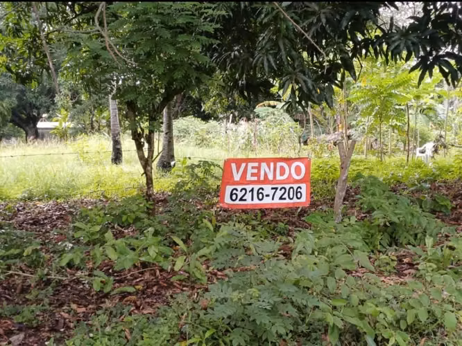 VENDO TERRENO RIO HATO, COCLÉ