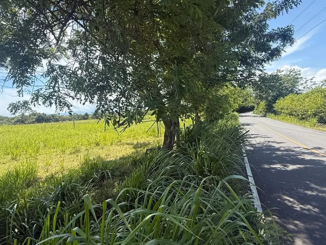 Se vende finca 20hectareas (Buen retiro) $ negociable