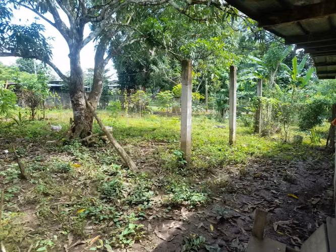 Se vende terreno en Tortí vía principal 1.5hectarea 35.000$ - Imagen 3