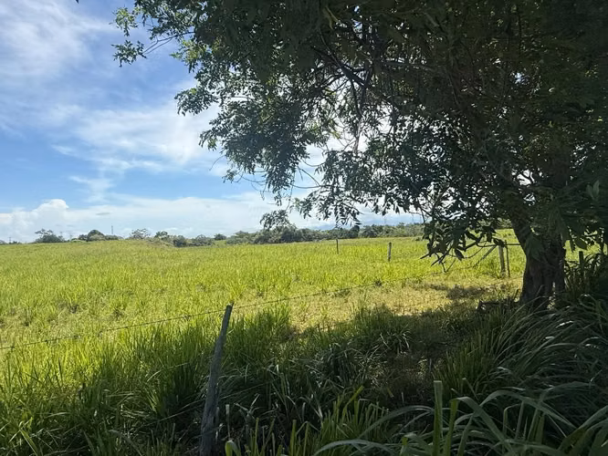 VENTA 20hectareas Buen retiro ( Antón) totalmente plano