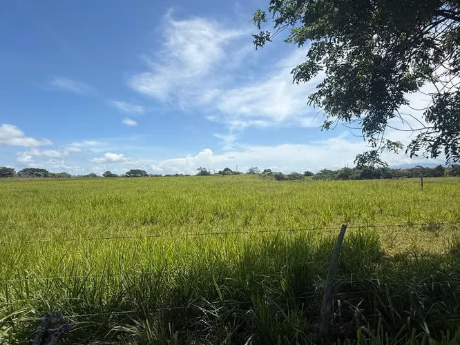 VENTA 20hectareas Buen retiro ( Antón) totalmente plano