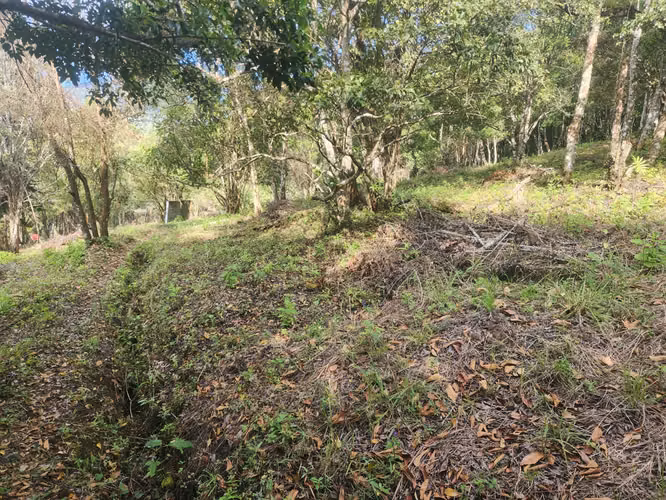 VENDO TERRENO EN VOLCANCITO BOQUETE - Imagen 18