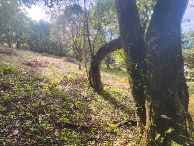 VENDO TERRENO EN VOLCANCITO BOQUETE - Imagen 17