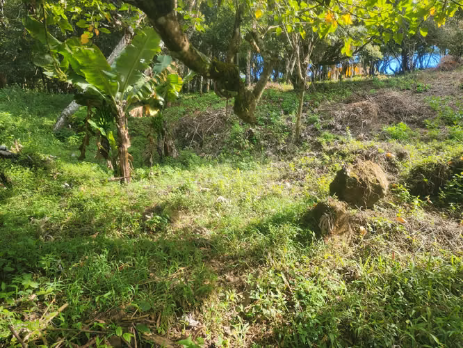 VENDO TERRENO EN VOLCANCITO BOQUETE - Imagen 20