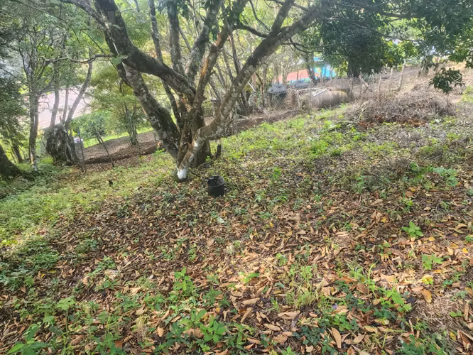 VENDO TERRENO EN VOLCANCITO BOQUETE - Imagen 13