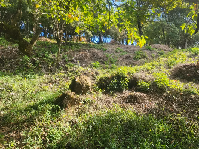 VENDO TERRENO EN VOLCANCITO BOQUETE - Imagen 12