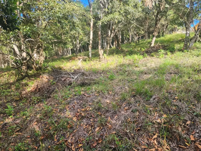 VENDO TERRENO EN VOLCANCITO BOQUETE - Imagen 10