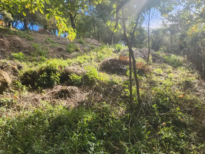 VENDO TERRENO EN VOLCANCITO BOQUETE - Imagen 14