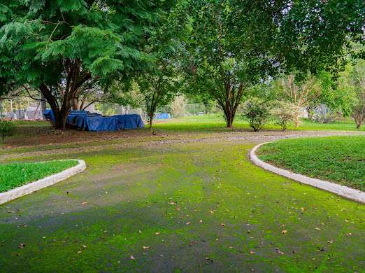 Excelente inversión , comodidad, lujo y tranquilidad  en Chitre