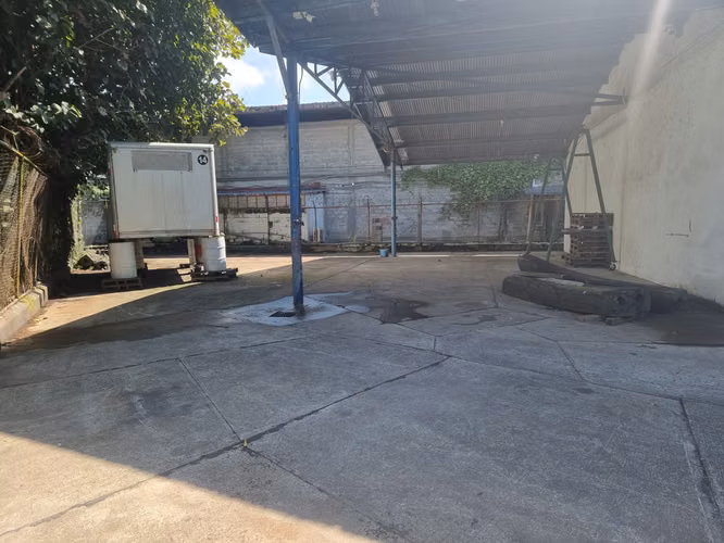 Venta de Galera en Curundú, Avenida Frangipani, 1,500m² de terreno