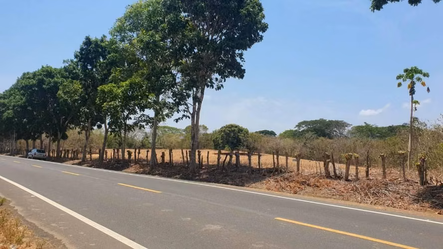 Finca 65 Hectáreas Pocri Los Santos $572,000