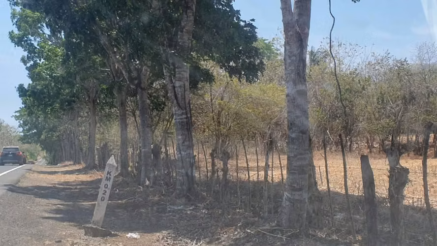 Finca 65 Hectáreas Pocri Los Santos $572,000