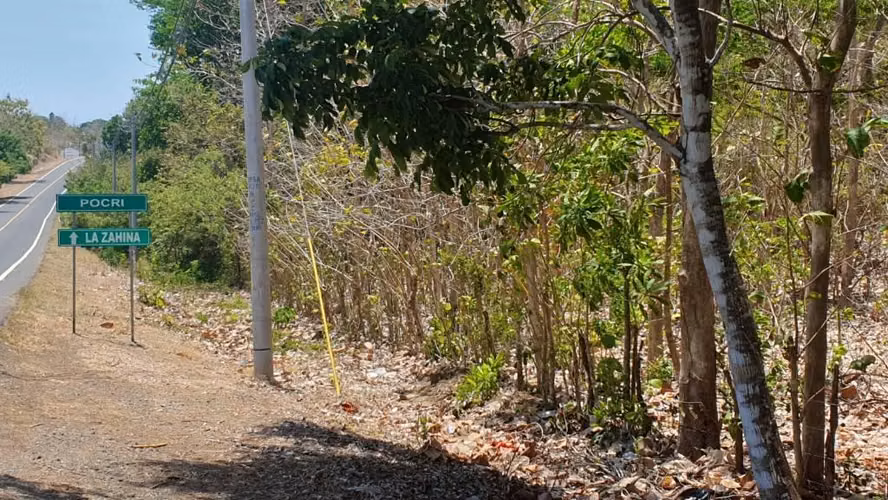 Finca 65 Hectáreas Pocri Los Santos $572,000