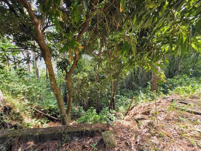Venta de terreno en Sorá Chame